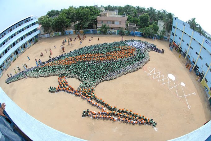 School Jobs at   Everwin Group Of Schools, Chennai  ,  Chennai